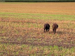 Beautiful countryside