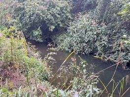 River next to park