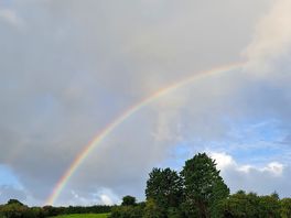 Rainbow!