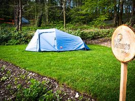 Grass pitch