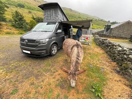 A visit from one of the locals