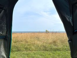 View from tent pitch
