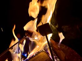 Toasting marshmallows
