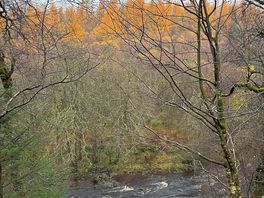 Autumn in kielder