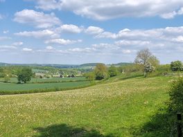 Local view