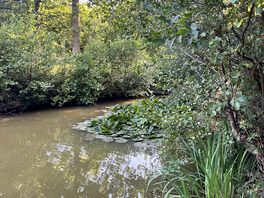 Lovely to walk around