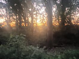 Bike trails