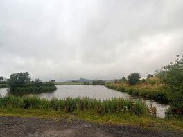 Lovely view