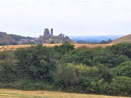Corfe