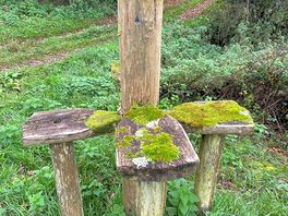 Walk in the country