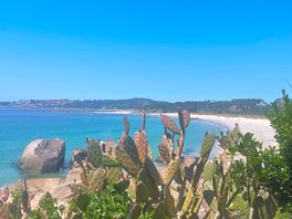 Great beach