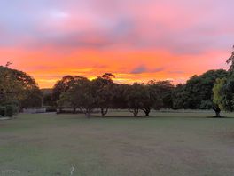 Grassy pitches