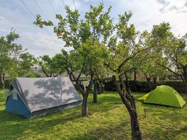 Camping under a lemon tree