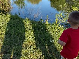 The lake