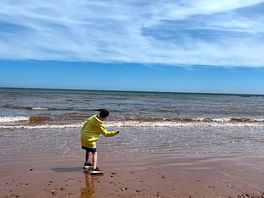 The beach when the tide is out