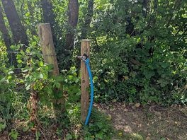 Tap water