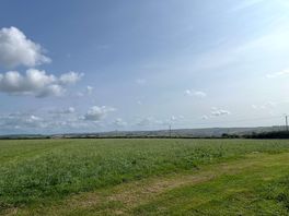 Site view