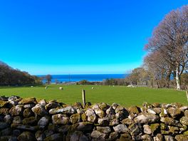 View on local walk