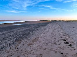 Estuary view