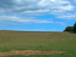 Fields for miles