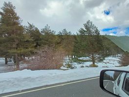 Snow near the road
