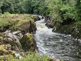 The falls
