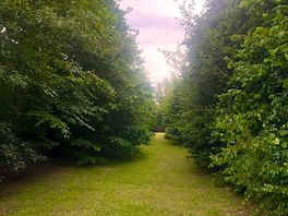 Hazel path to the Hedgehog pitches