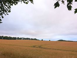 View from the bottom of the site.