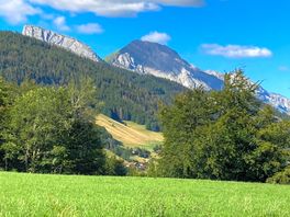 A view from the campsite