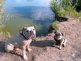 Beautiful lake