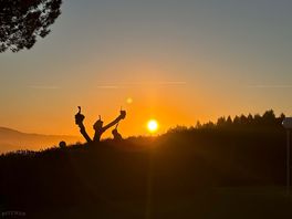 Beautiful sunset