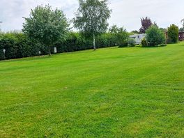 View of the site