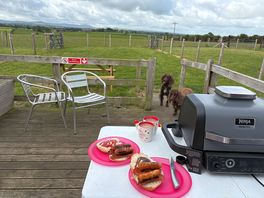 Look at that space for the dogs