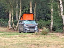 Van in pitch