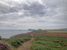 Right next to the coastal path