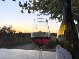 Wein