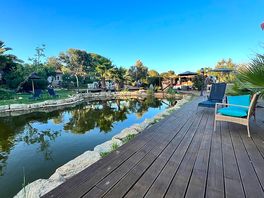 Naturschwimmteich/pool