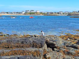 Rock-pooling at trearddur bay.