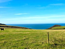 View of the sea on walk from site to coast