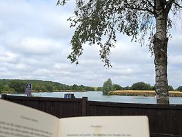 Reading with a view