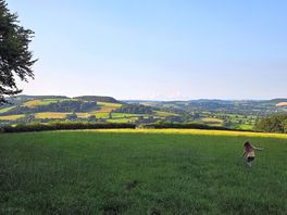 View from one of the walks