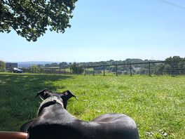 Ronnie and view