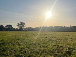 Sun rise