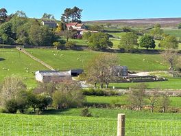 View from our caravan