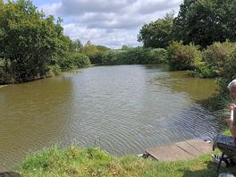 Hampton springs fishery