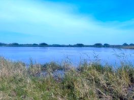 Nature reserve close by