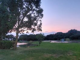View from bar with fishing lakes