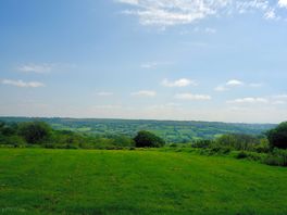 View from camping field over Hartridge Common