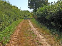 Walking up the track to the camp field