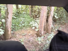 View from our tent